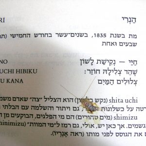 חיי - נקישת לשון / שהד צלילה חוזר / צלולים המים