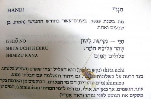 חיי - נקישת לשון / שהד צלילה חוזר / צלולים המים